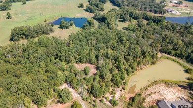 Lake Acreage For Sale in Lindale, Texas