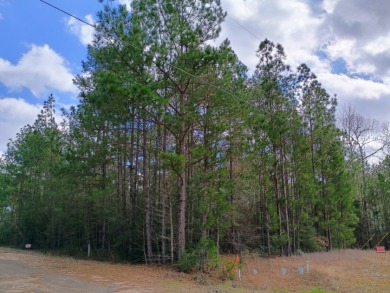 Private Lake Community, Golf Cart Friendly,
4 Camping Lots - photo 4