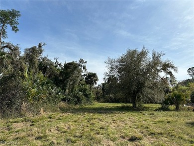 (private lake, pond, coastal) Acreage For Sale in Labelle Florida