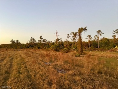 (private lake, pond, coastal) Acreage For Sale in Labelle Florida
