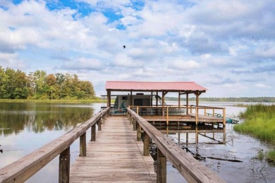 Lake Seminole Home For Sale in Bainbridge Georgia