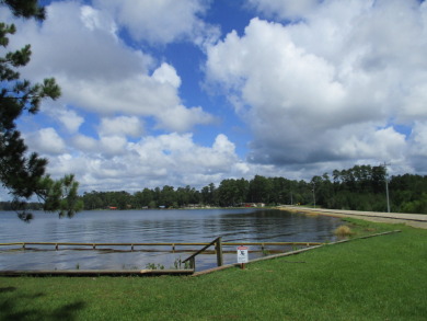 Private Lake Community, Golf Cart Friendly,
4 Camping Lots - photo 13