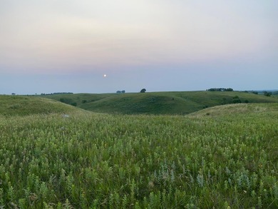 Pelican Ridge is an exceptional rural residential enclave - photo 3