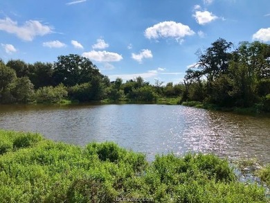 (private lake, pond, creek) Acreage For Sale in Caldwell Texas