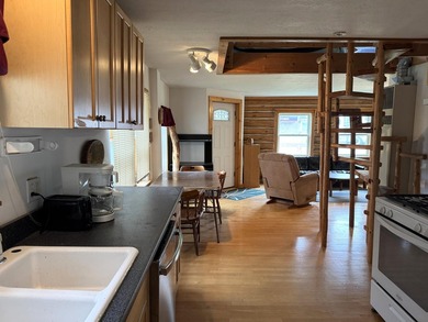 Enjoy 150' of shared sandy lakefront on beautiful Houghton - photo 11