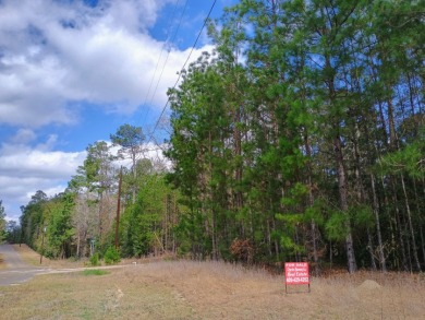 Private Lake Community, Golf Cart Friendly,
4 Camping Lots - photo 2
