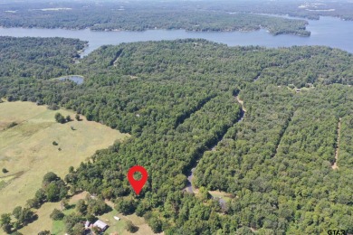 (private lake, pond, creek) Lot For Sale in Mount Vernon Texas