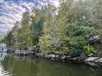 Lake Lot For Sale in Lineville, Alabama