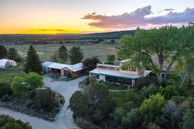 (private lake, pond, creek) Home Active Under Contract in Arroyo Hondo New Mexico