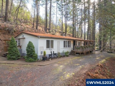 Lake Home For Sale in Detroit, Oregon