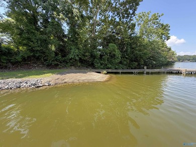 Escape to Weiss Lake w/ this deeded RV waterfront lot in Money - photo 35