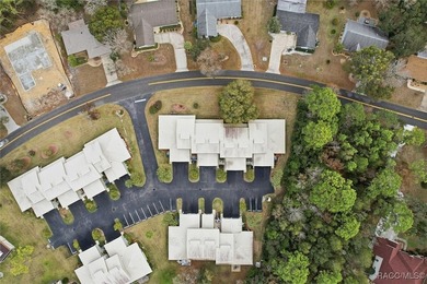 Completely Remodeled Townhouse in Sugarmill Woods. Welcome to - photo 36
