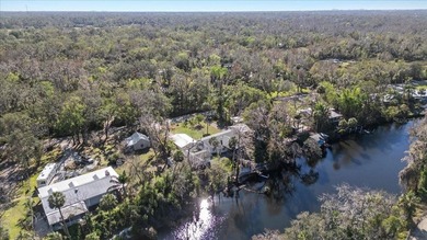 Welcome to your private Alafia River retreat offering - photo 49