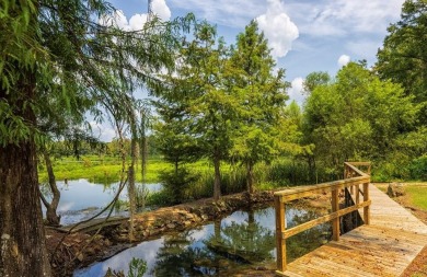 Lake Home For Sale in Brinson, Georgia