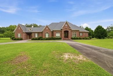 Welcome to 208 Thornberry Place in Ashford, AL! Situated on - photo 1