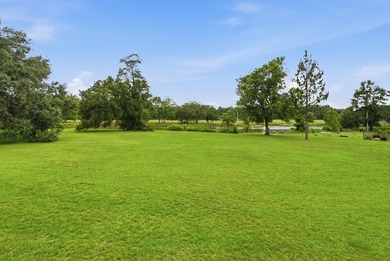 Welcome to 208 Thornberry Place in Ashford, AL! Situated on - photo 7