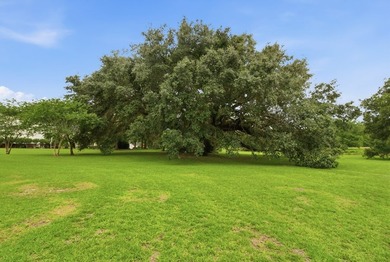 Welcome to 208 Thornberry Place in Ashford, AL! Situated on - photo 8