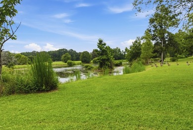 Welcome to 208 Thornberry Place in Ashford, AL! Situated on - photo 9