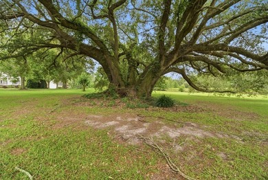 Welcome to 208 Thornberry Place in Ashford, AL! Situated on - photo 10