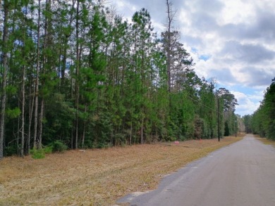 Lake Lot For Sale in Woodville, Texas