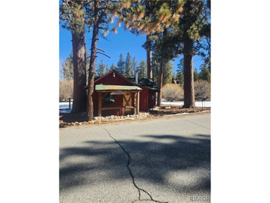 One-of-a-kind opportunity to own a 'Legacy' property in Big Bear - photo 11