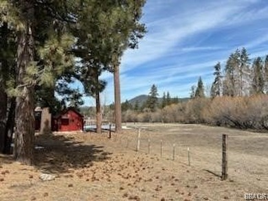 One-of-a-kind opportunity to own a 'Legacy' property in Big Bear - photo 14