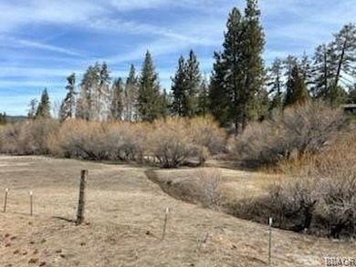 One-of-a-kind opportunity to own a 'Legacy' property in Big Bear - photo 15