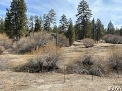 One-of-a-kind opportunity to own a 'Legacy' property in Big Bear - photo 16