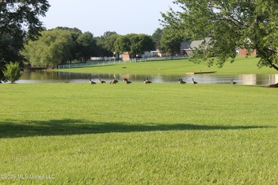 This open, two acre lot fronts Maura Lane SE and is located in - photo 16