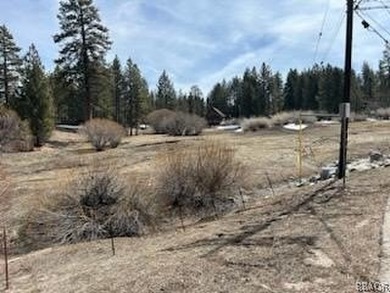 One-of-a-kind opportunity to own a 'Legacy' property in Big Bear - photo 17