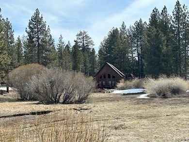 One-of-a-kind opportunity to own a 'Legacy' property in Big Bear - photo 18