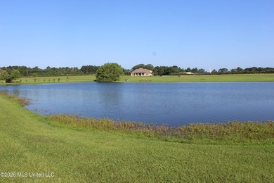 This open, two acre lot fronts Maura Lane SE and is located in - photo 18