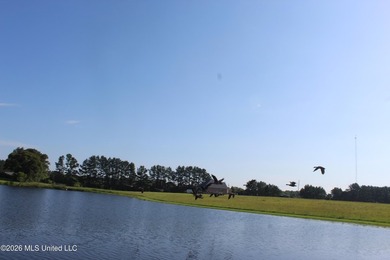 This open, two acre lot fronts Maura Lane SE and is located in - photo 19