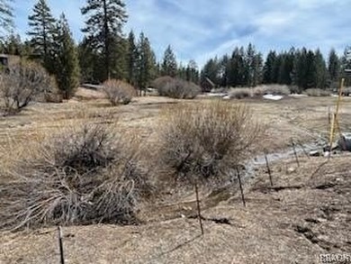 One-of-a-kind opportunity to own a 'Legacy' property in Big Bear - photo 20
