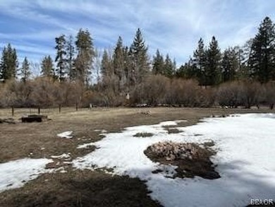 One-of-a-kind opportunity to own a 'Legacy' property in Big Bear - photo 23