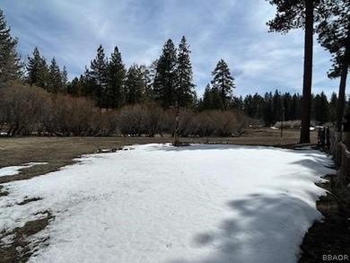 One-of-a-kind opportunity to own a 'Legacy' property in Big Bear - photo 24