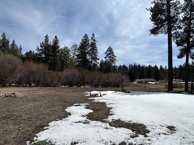 One-of-a-kind opportunity to own a 'Legacy' property in Big Bear - photo 26