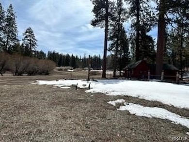 One-of-a-kind opportunity to own a 'Legacy' property in Big Bear - photo 27
