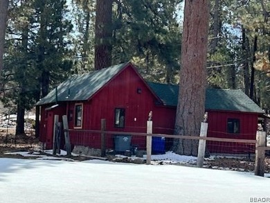 One-of-a-kind opportunity to own a 'Legacy' property in Big Bear - photo 28