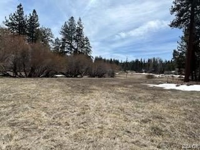 One-of-a-kind opportunity to own a 'Legacy' property in Big Bear - photo 30