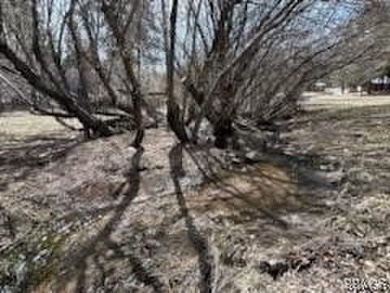 One-of-a-kind opportunity to own a 'Legacy' property in Big Bear - photo 32