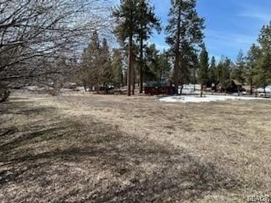 One-of-a-kind opportunity to own a 'Legacy' property in Big Bear - photo 33