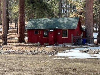 One-of-a-kind opportunity to own a 'Legacy' property in Big Bear - photo 34