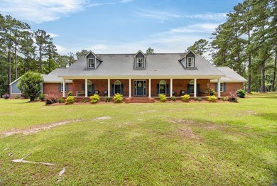 Welcome to 1071 Mose Ware Road in Ozark, AL- Stunning custom - photo 1