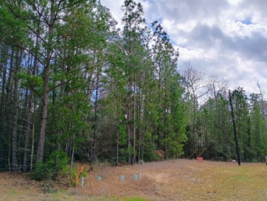 Private Lake Community, Golf Cart Friendly,
4 Camping Lots - photo 3