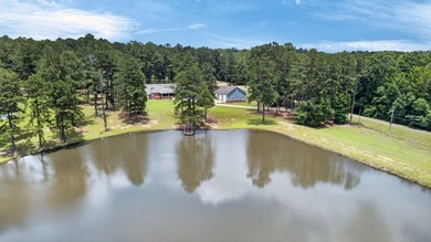 Welcome to 1071 Mose Ware Road in Ozark, AL- Stunning custom - photo 8