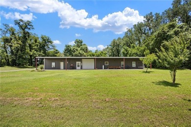 Lake Home For Sale in Dardanelle, Arkansas