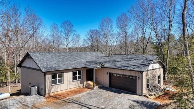 Lake Home For Sale in Blairsville, Georgia