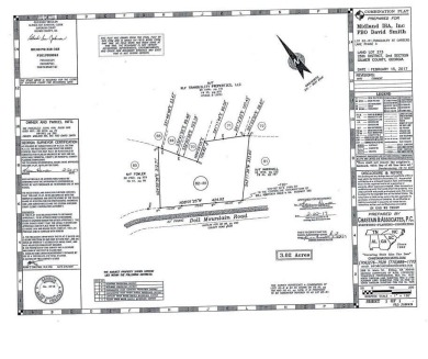 Lake Acreage For Sale in Ellijay, Georgia