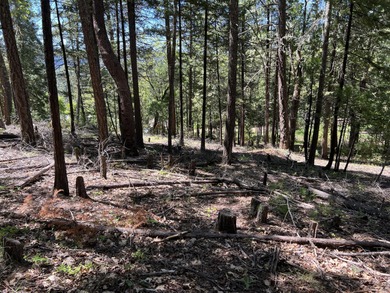 Lost Creek Lake Lot For Sale in Prospect Oregon